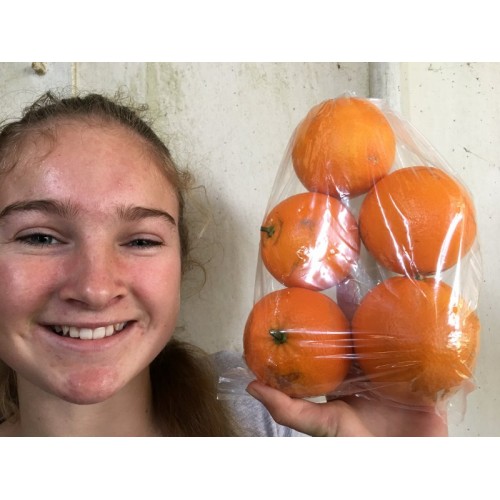 NAVEL ORANGES 1KG Bag GISBORNE Grown